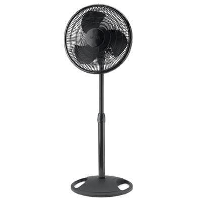 Product_Image_2