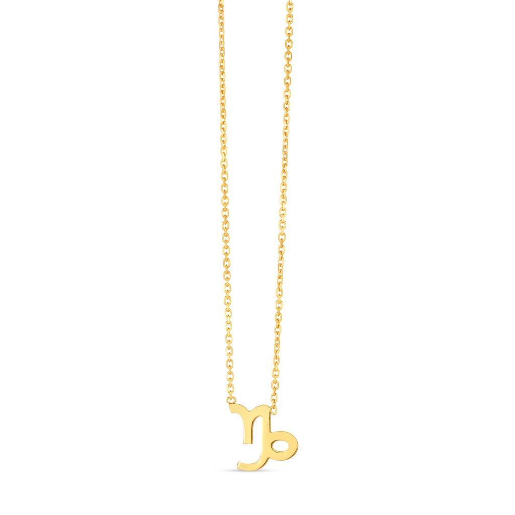 14K Yellow Gold Capricorn Necklace